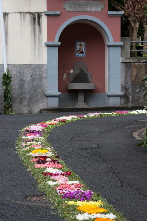 Antonella Home Funchal Εξωτερικό φωτογραφία